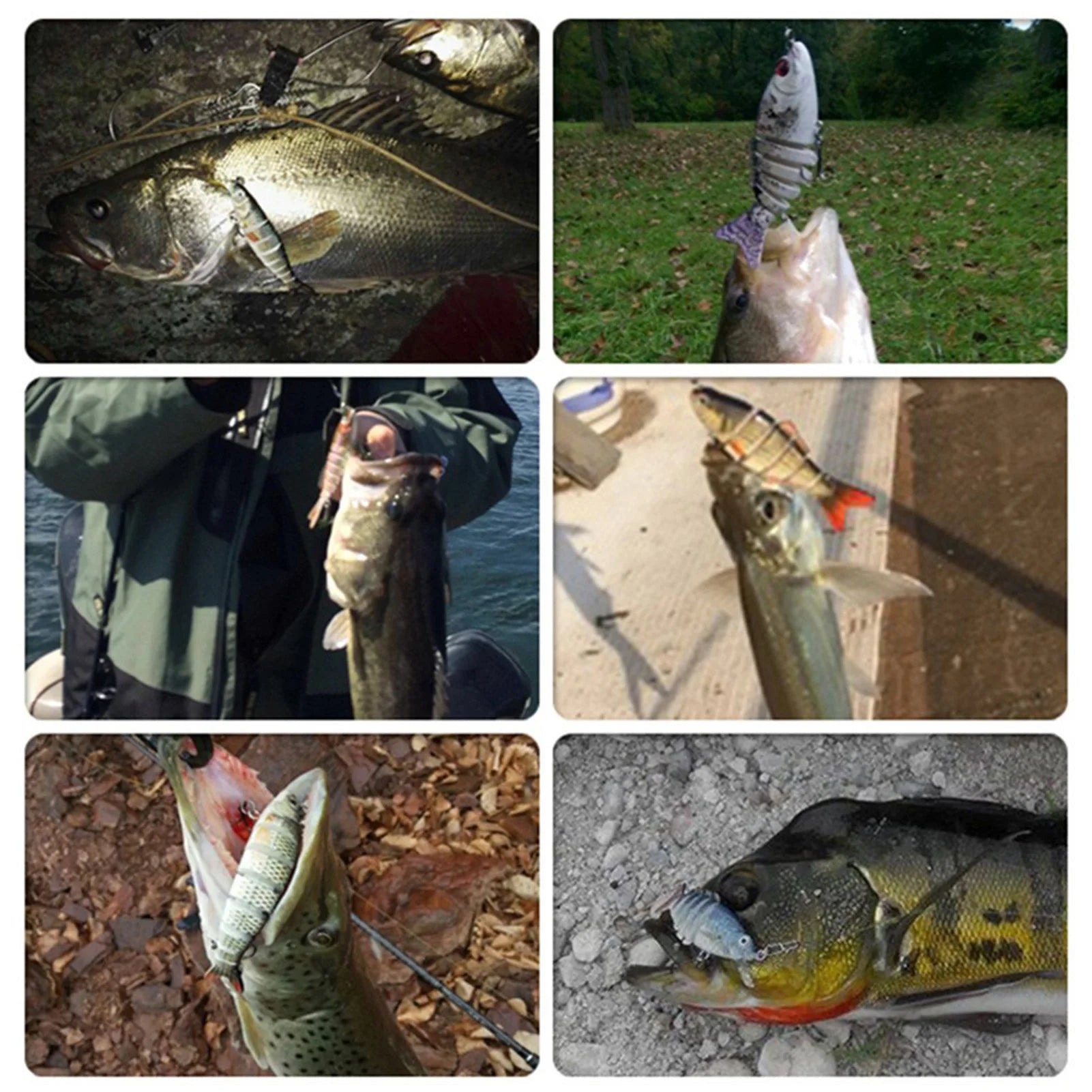 Multi-Joint Swimbait Lure