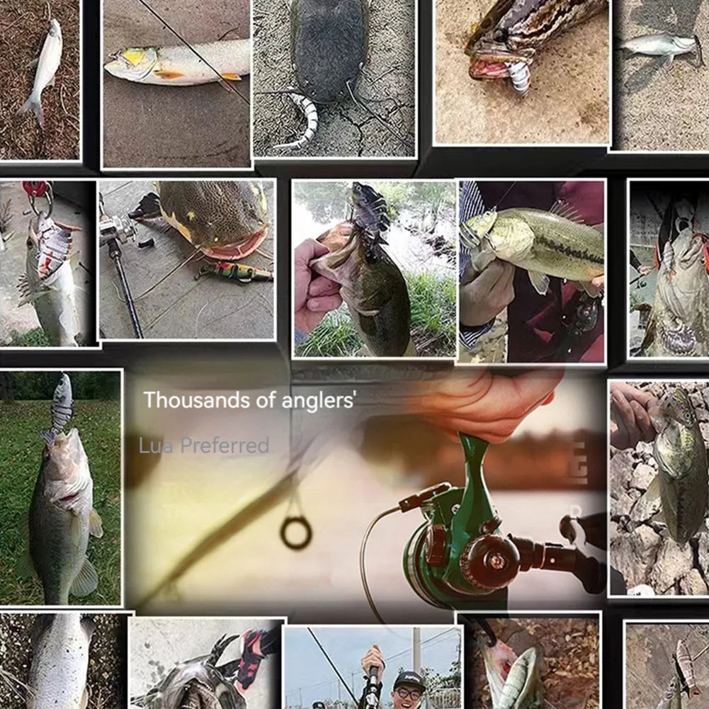 Robotic Swimming Lure